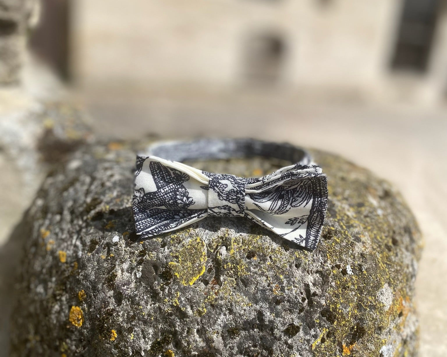 Nœud papillon porté – création artisanale en tissu français historique
